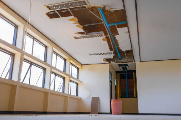 Best Flood restoration services  in Shenandoah, VA