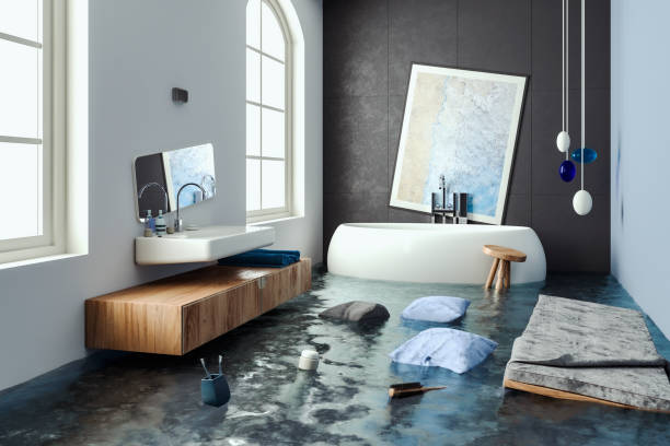 Best Emergency water damage restoration  in Shenandoah, VA
