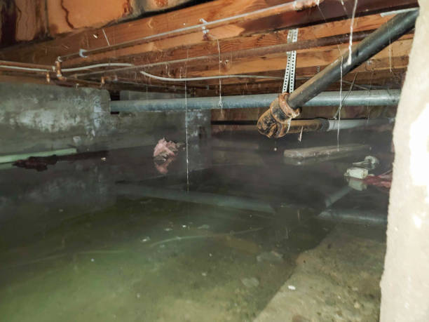 Best 24/7 water damage repair  in Shenandoah, VA