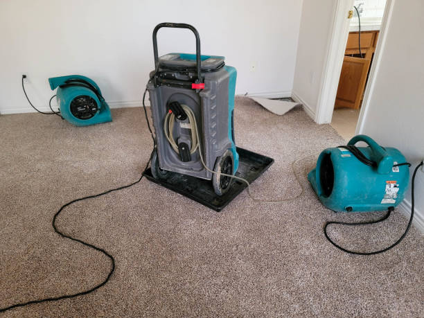 Trusted VA Water damage restoration Experts