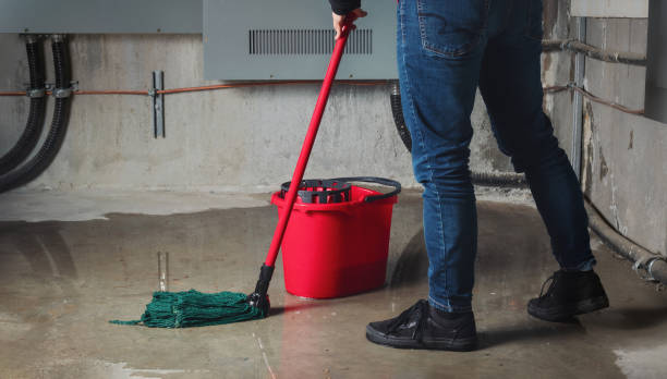 Best Professional water damage repair  in Shenandoah, VA