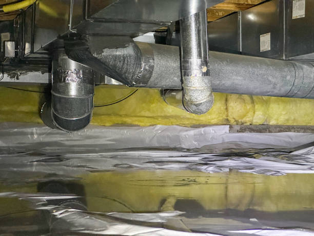 Best Flooded house restoration  in Shenandoah, VA